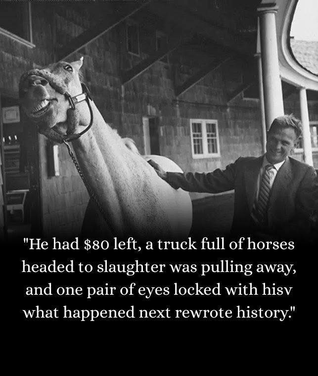 He had $80 left, a truck full of horses headed to slaughter was pulling away, and one pair of eyes locked with his—what happened next rewrote history.