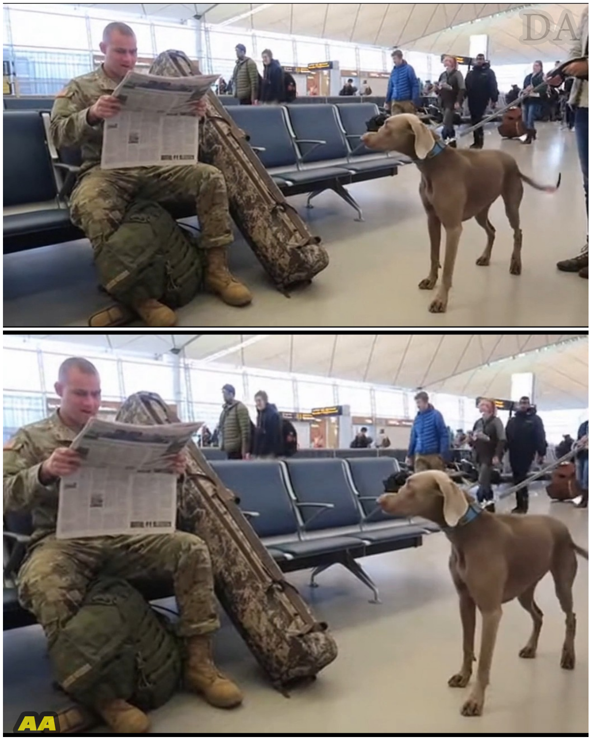The Terminal of Tears and Tails: A Soldier’s Greatest Welcome