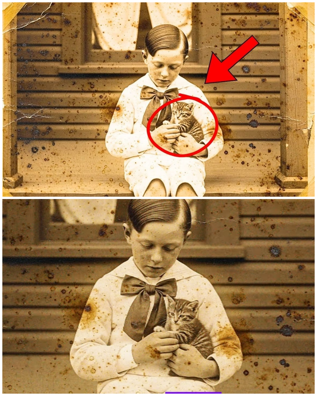 This 1905 Photo of a Boy with His Kitten Seemed Adorable — Until Restoration Revealed the Truth