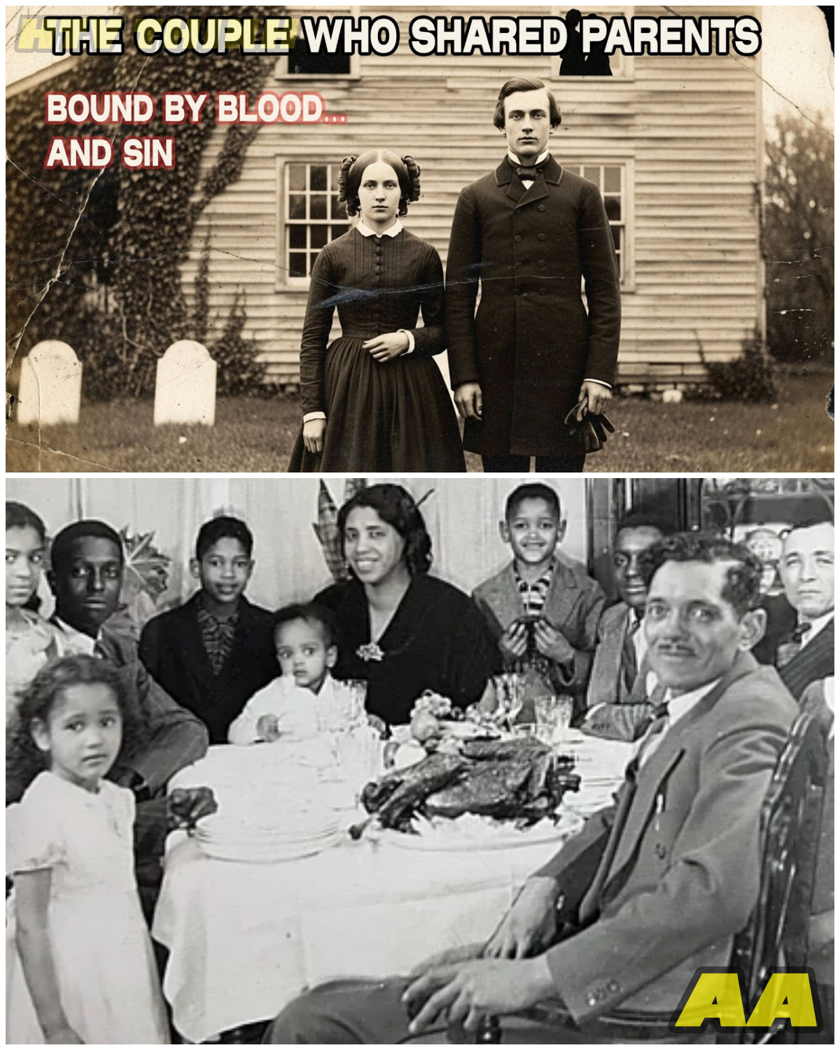 😱 The Sinister Secrets of Harmonia Springs: How a Charismatic Doctor Turned Hope into Horror! 😱 – HTT