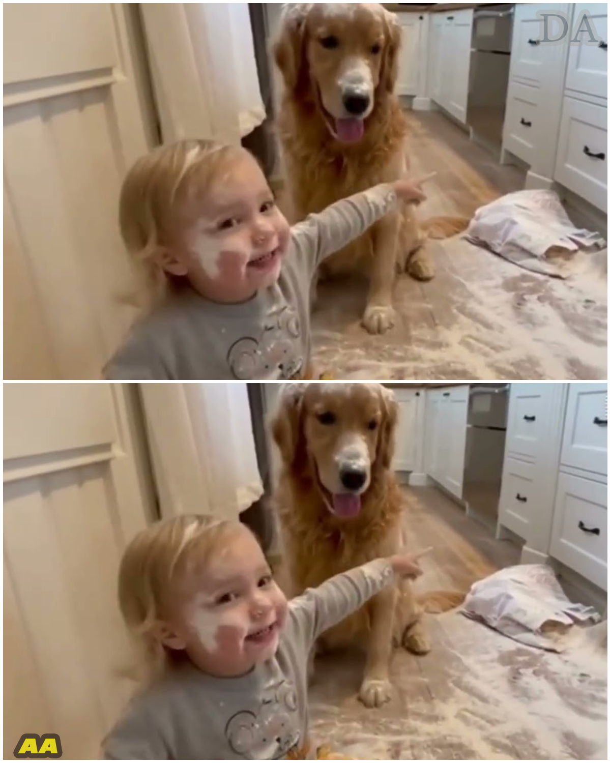 The Great Flour Fiasco: A Case of Two Guilty Faces