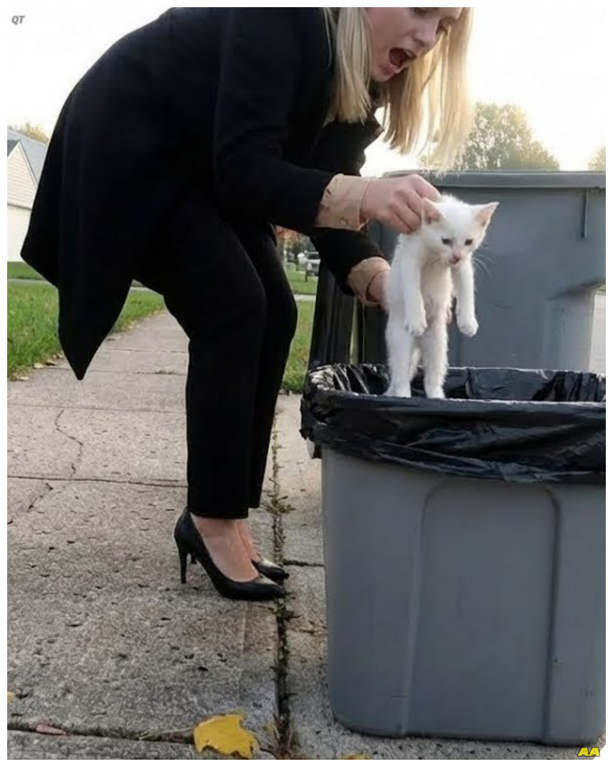 Just as Whiskers was ready for adoption, Mia received a shocking call from the shelter.  The woman who had abandoned him was seeking to reclaim her “property,” claiming she had made a mistake.  Mia’s heart raced as she grappled with the thought of losing the little one she had grown to love so deeply.  Whiskers had transformed from a discarded life into a vibrant spirit, but could she truly leave him behind?  Would Mia fight for Whiskers’ future, or would the past threaten to overshadow their miracle? ⚡