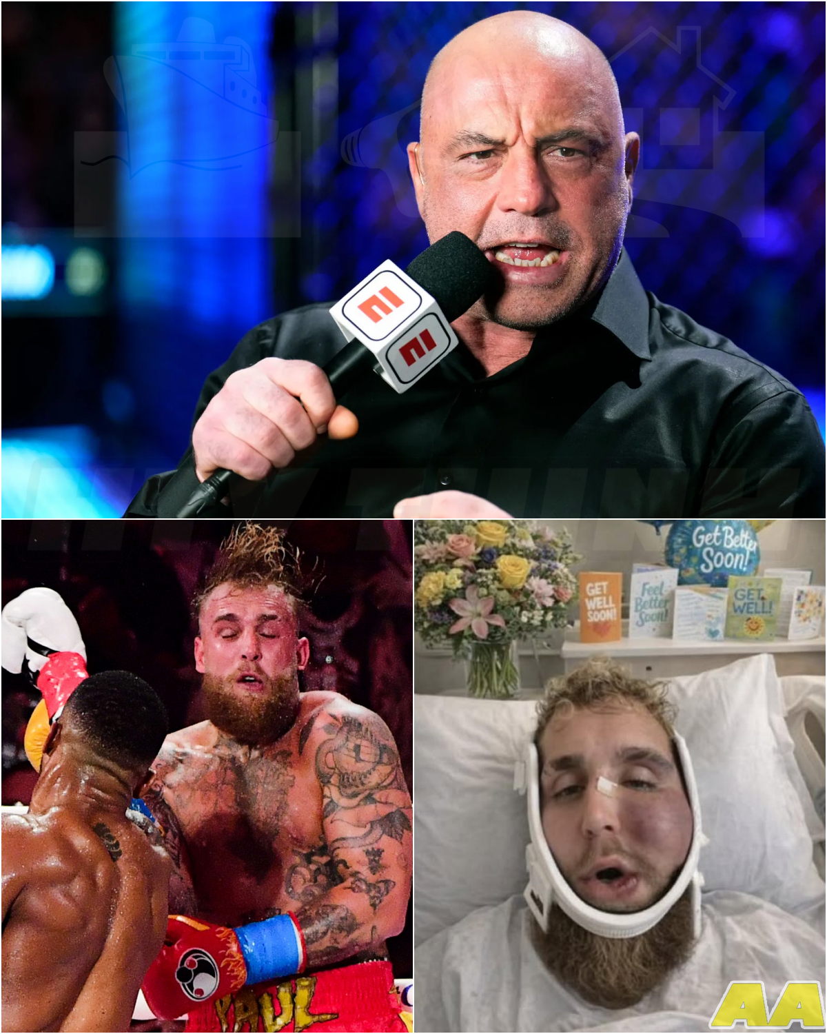 🎰 Joe Rogan sends emotional plea to Jake Paul after praising his performance against Anthony Joshua