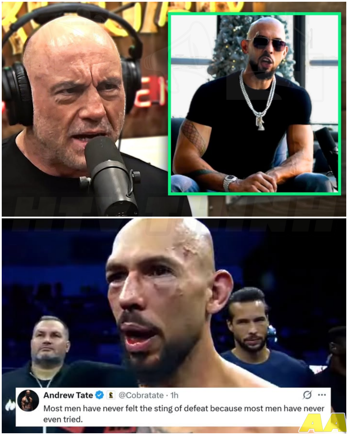 🎰 Andrew Tate Gets Torched After Baffling Boxing Loss Excuse