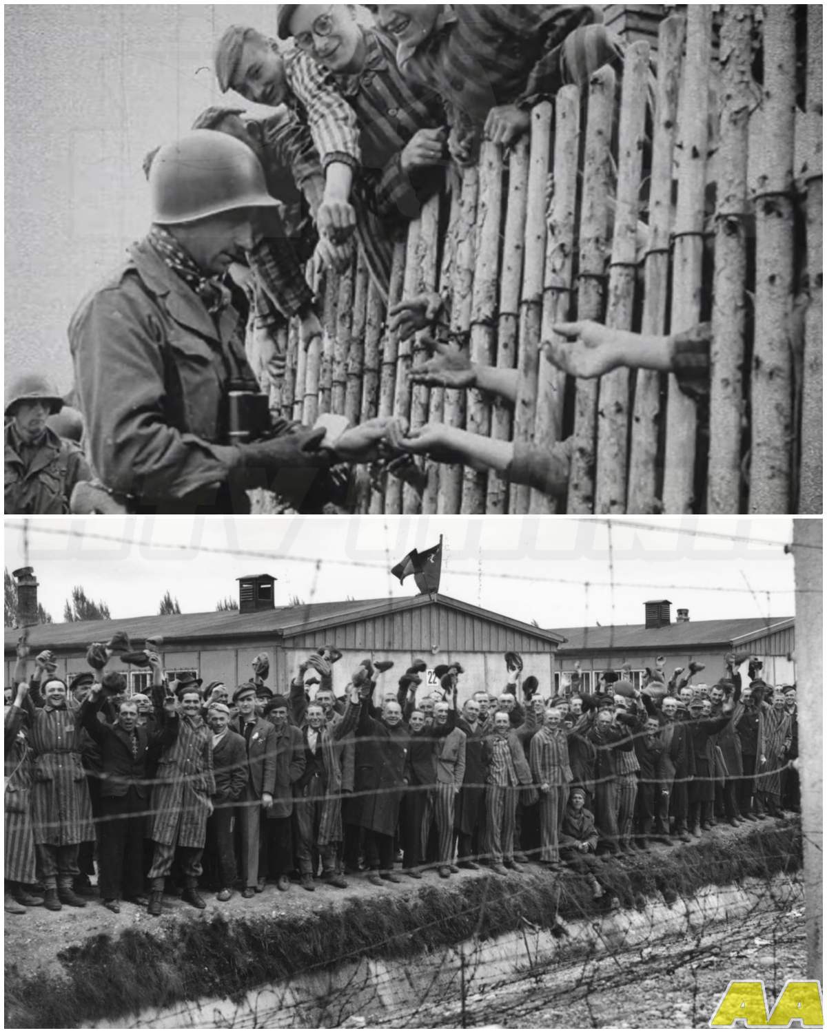 🎰 What American Soldiers Did to SS Guards When They Found Dachau