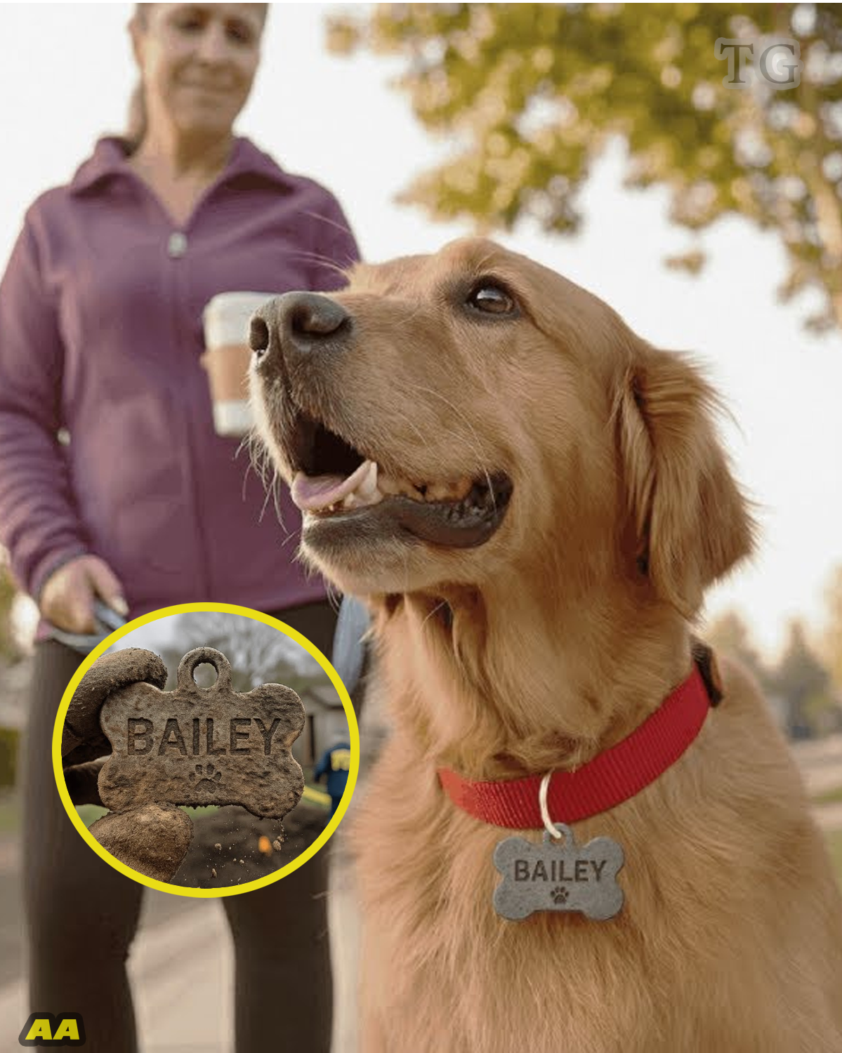 “Echoes from the Rest Stop: Lost Footage, Dark Figures, and a Road That Never Lets Go”