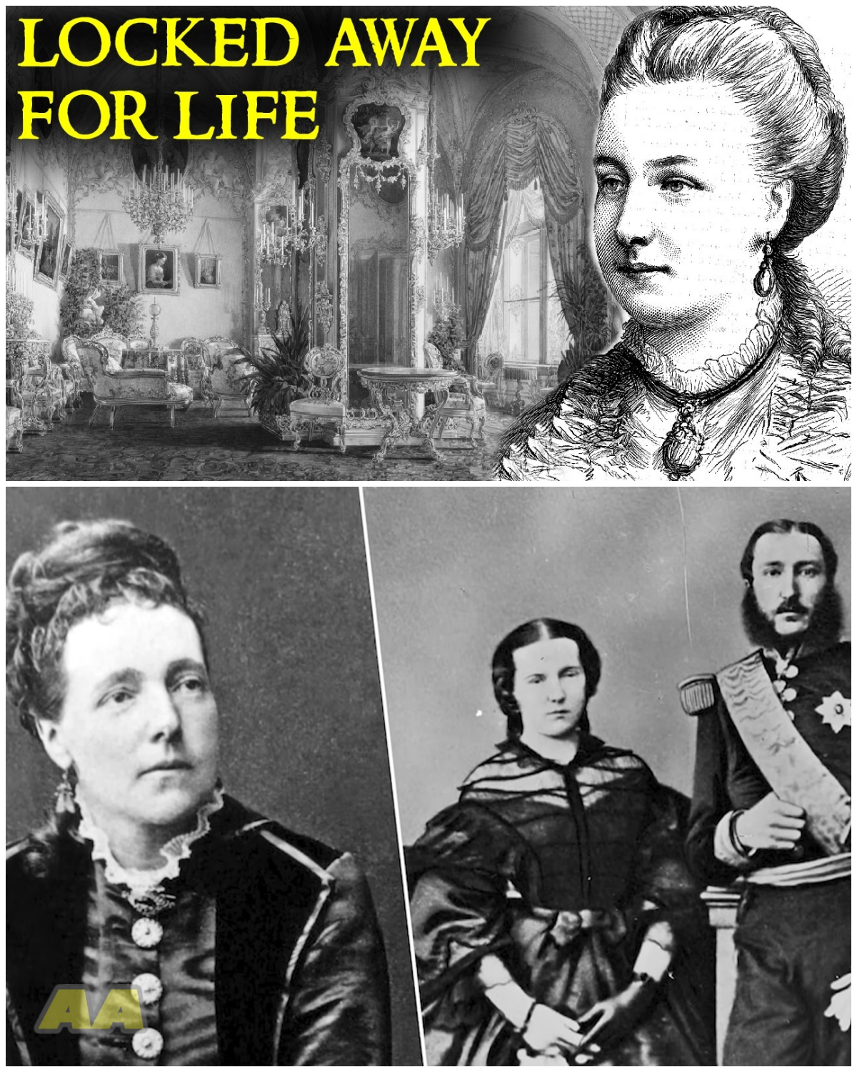 The Shocking Case of the Princess in the Asylum