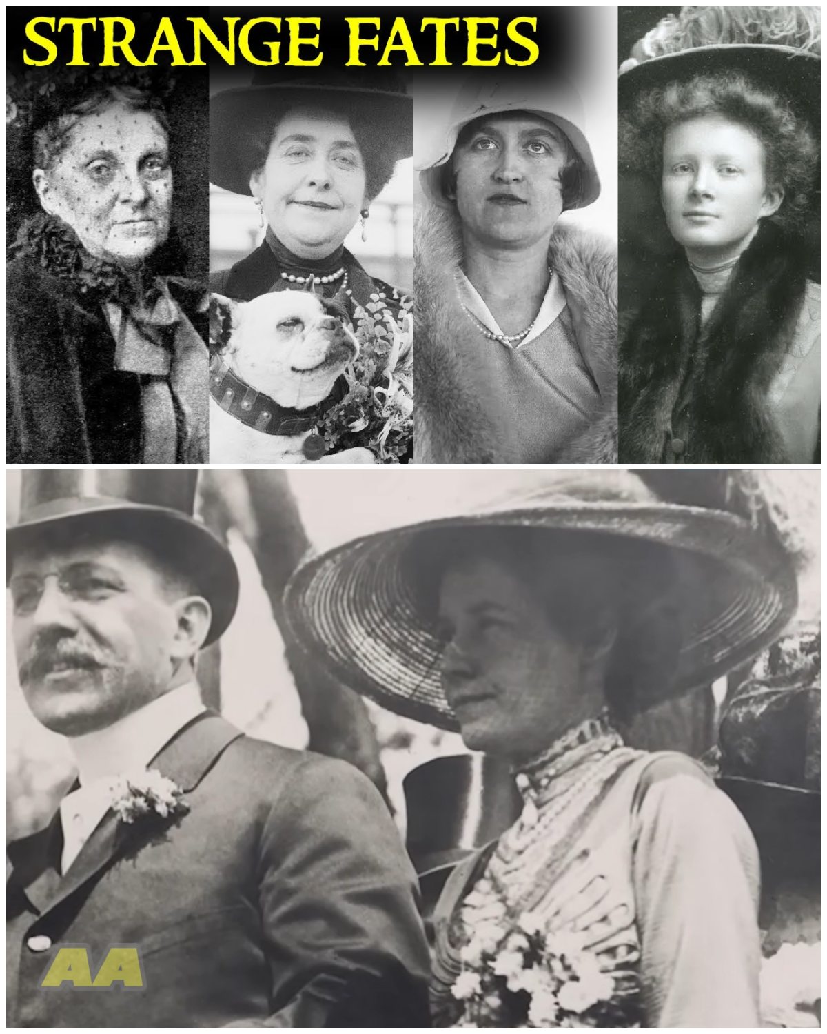 A Collection of Gilded Age Tales you wouldnโt believe