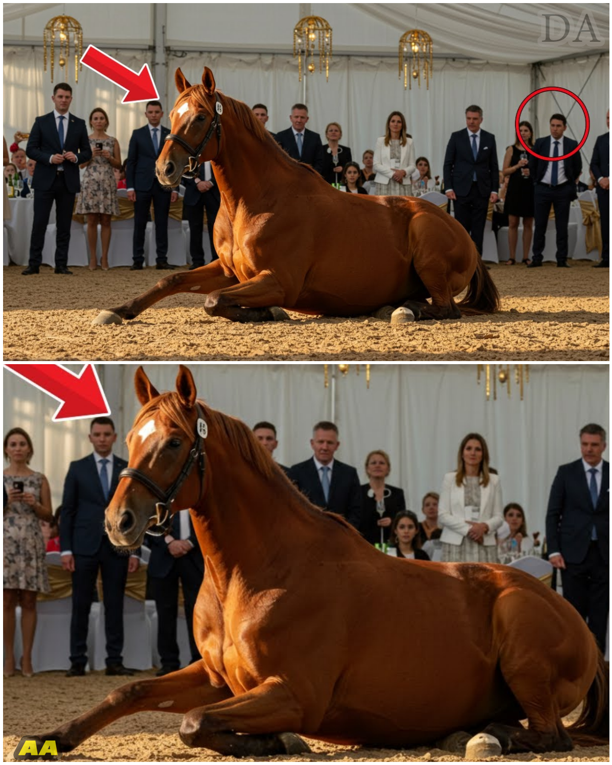 The Unspoken Bond: The Champion Who Was Bidden to Sit