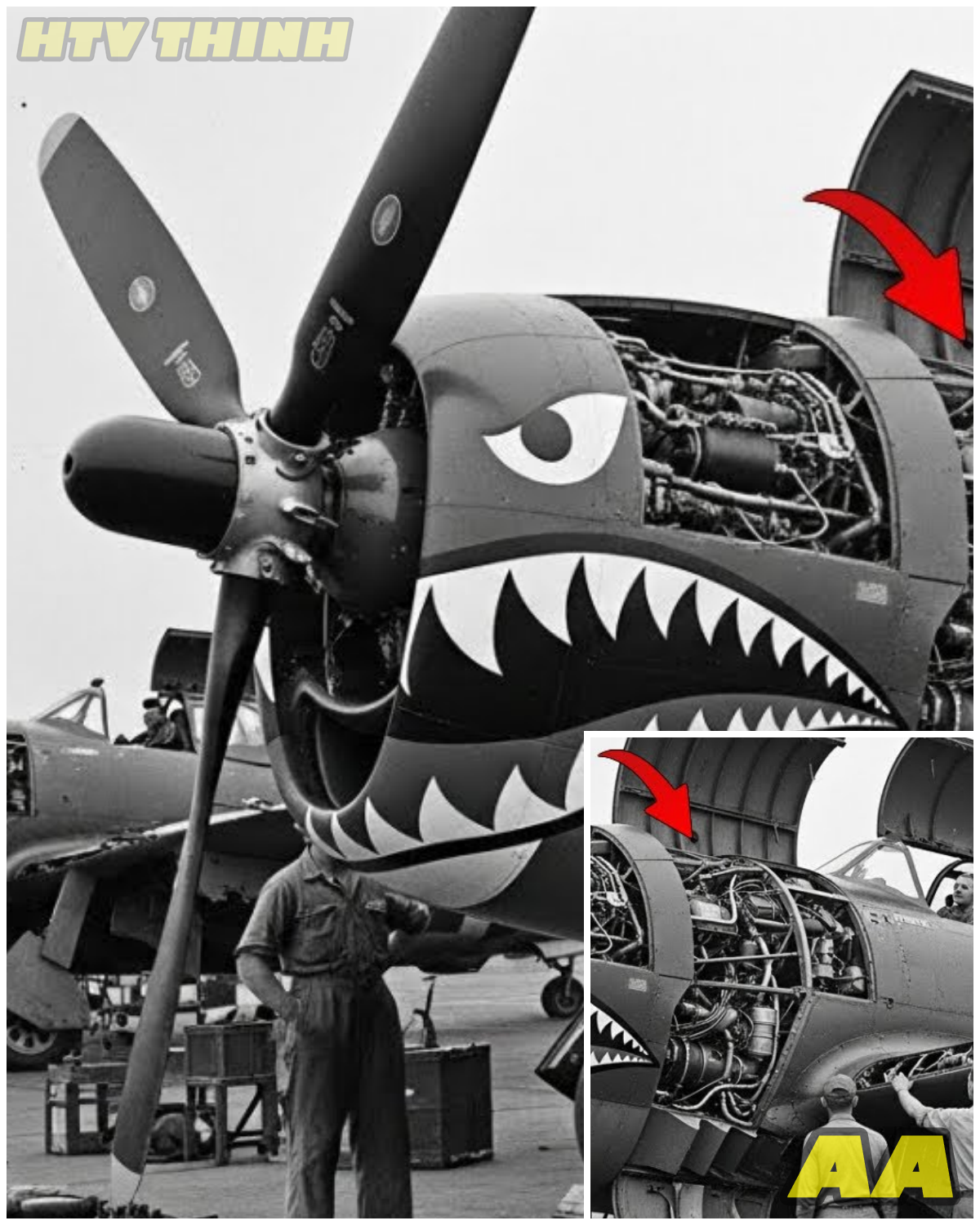 😱 German Pilots Laughed at This “Useless” P-47 – Until It Destroyed 39 Fighters in One Month 😱 – HTT