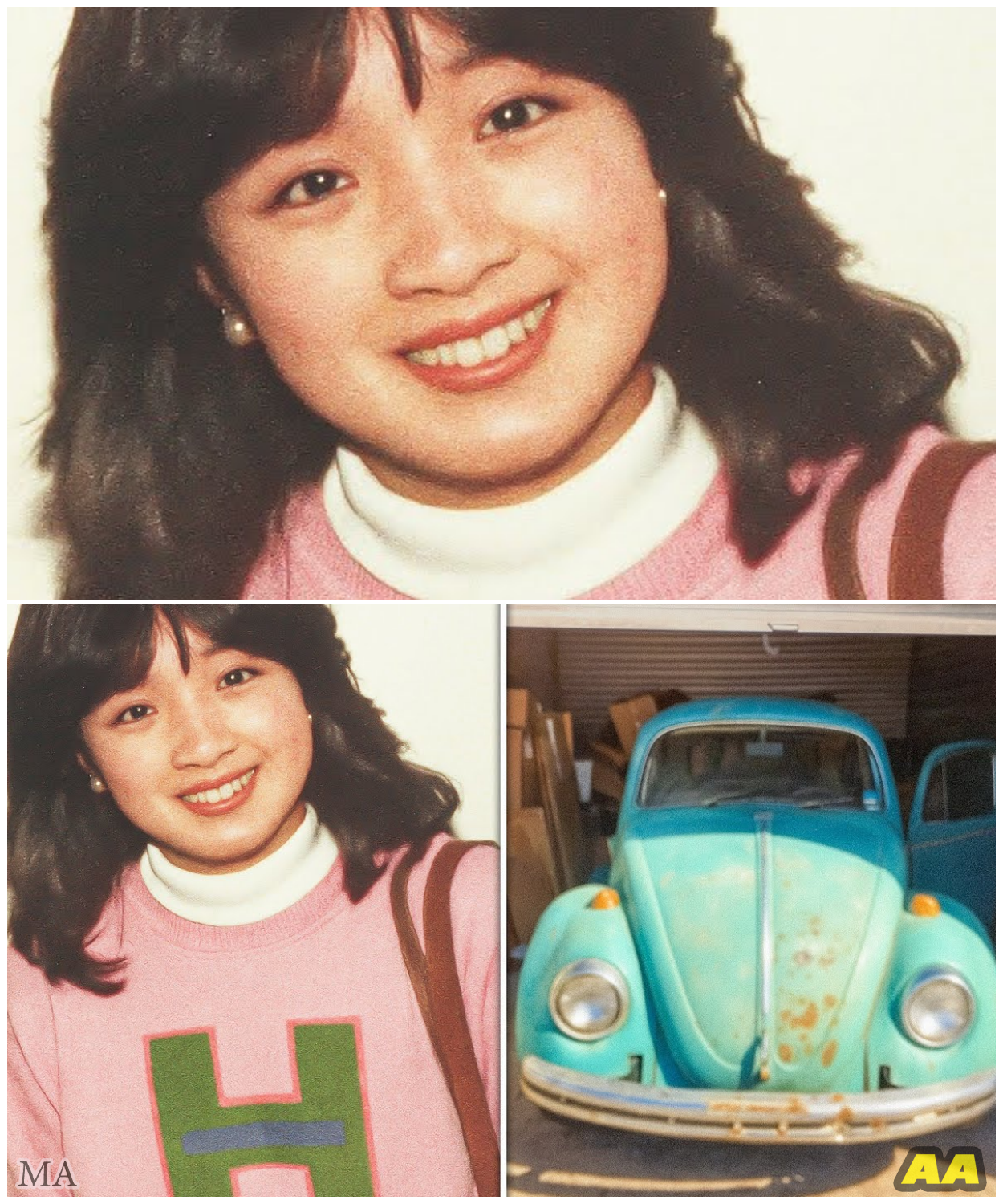 College Student Vanished in 1995 – 11 Years Later Her Car Appears in a Storage Auction…