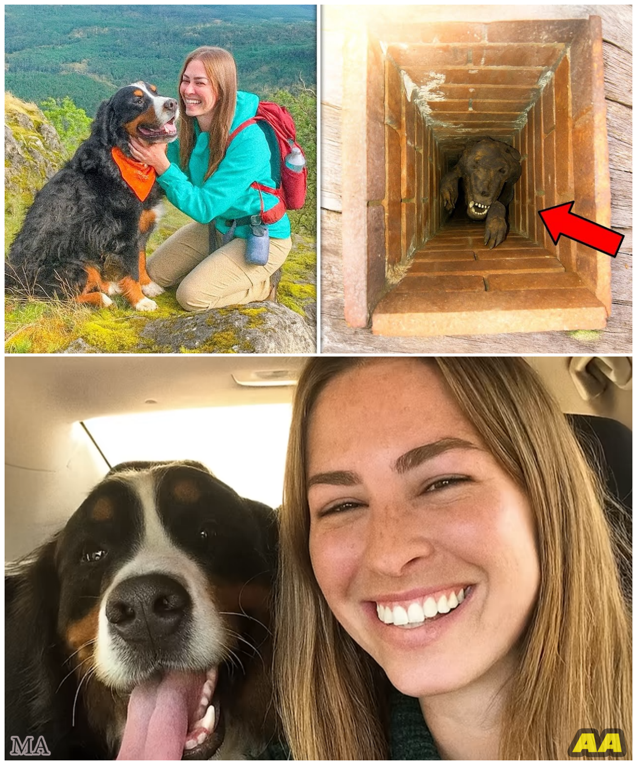 Woman Vanished Hiking in Montana — 6 Years Later, What Was Found Inside a Remote Cabin Chimney Left Everyone Speechless