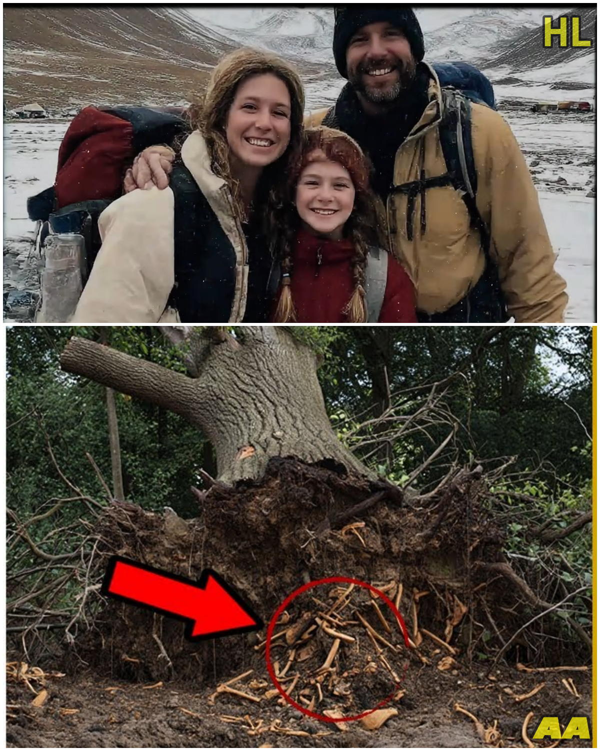 The Last Text Said “Everything’s Fine”: What Really Happened to the Bennet Family in the Smoky Mountains