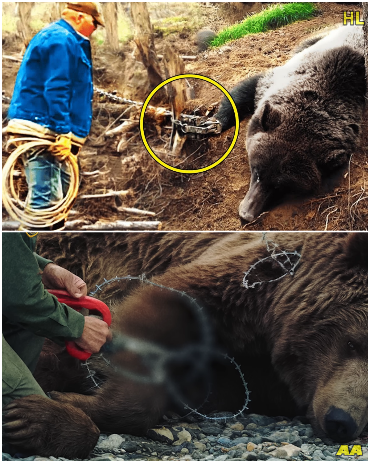 The Cry That Stopped Him Cold: What This Ranger Found in the Yukon Forest Changed Him Forever