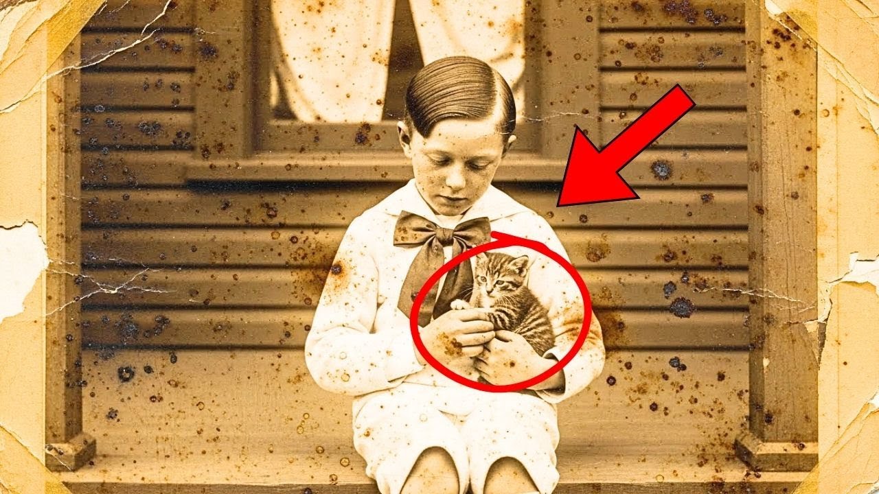 This 1905 Photo of a Boy with His Kitten Seemed Adorable — Until Restoration Revealed the Truth