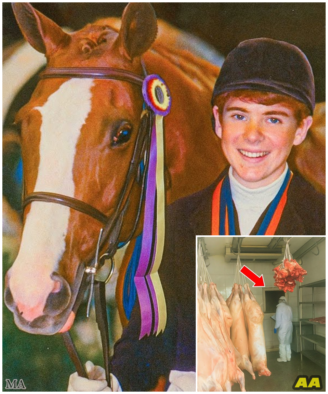 A Jockey Vanished in 2001. Three Years Later, Health Inspectors Opened a Hatch No One Was Meant to See.