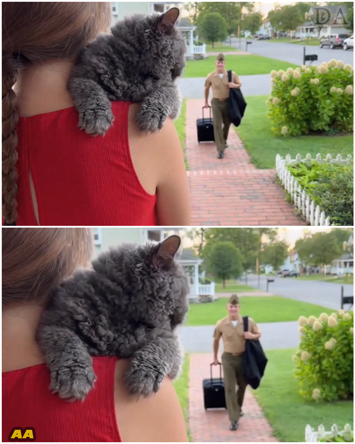 The Anchor in the Storm: A Soldier’s Journey Home