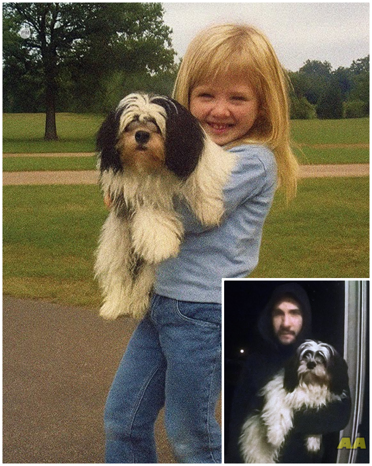 Girl Vanished Playing With Her Dog — 6 Months Later, a Stranger Shows Up With Her Dog...