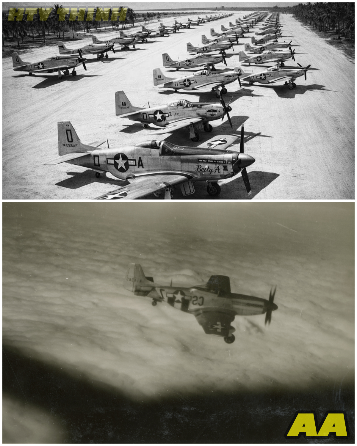 😱 From War Heroes to Dusty Relics: The Shocking Fate of America’s P-51 Mustangs! 😱 – HTT