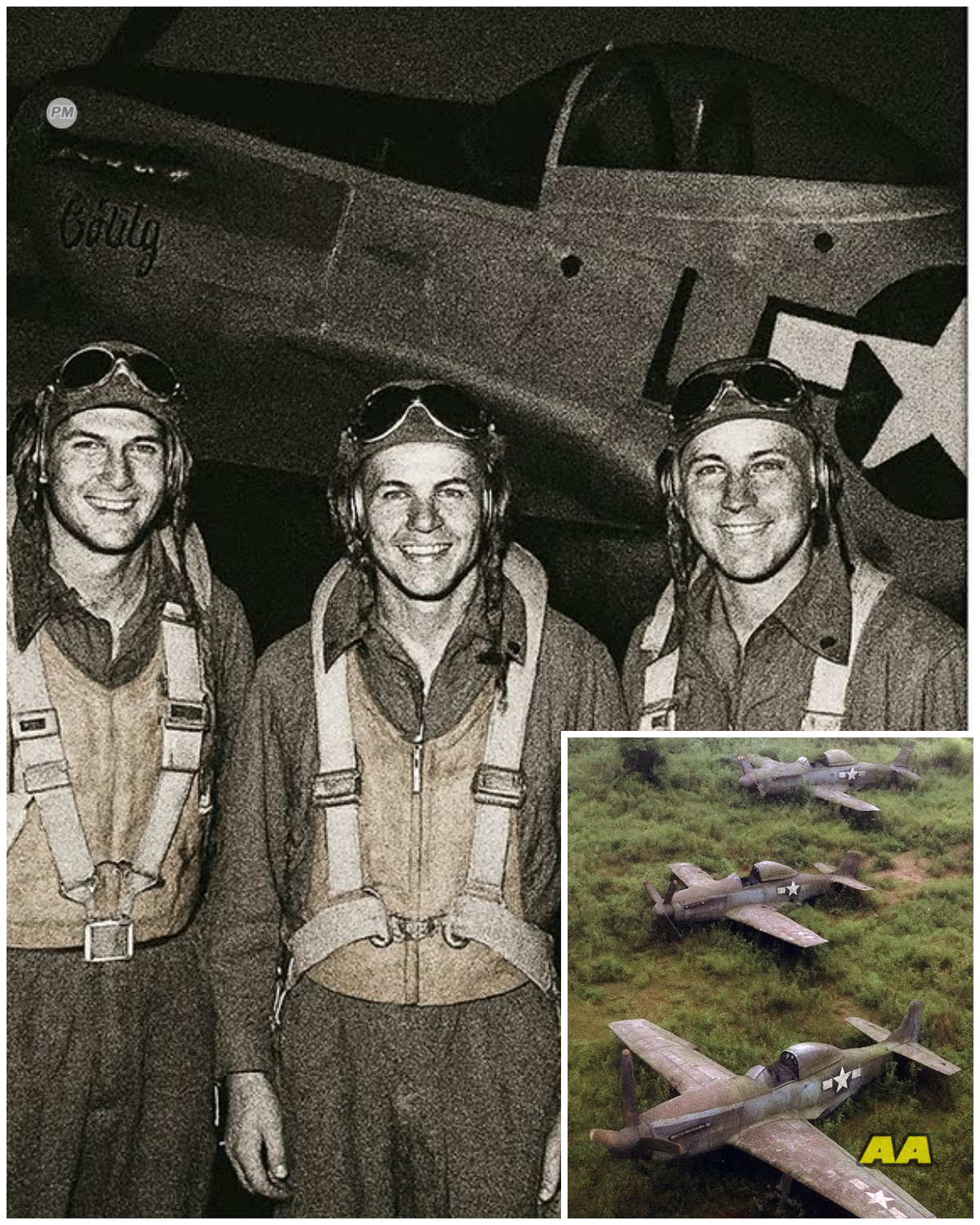 3 Fighter Pilots Vanished In 1944 — 75 Years Later, Their Planes Were Found Almost Intact…