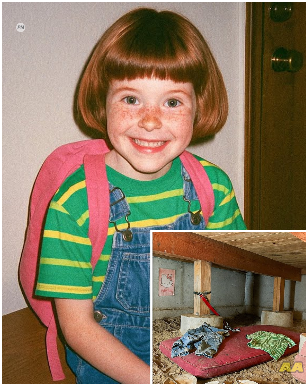 Girl Vanished Walking to School, 8 Years Later Electricians Find This in a Crawlspace…