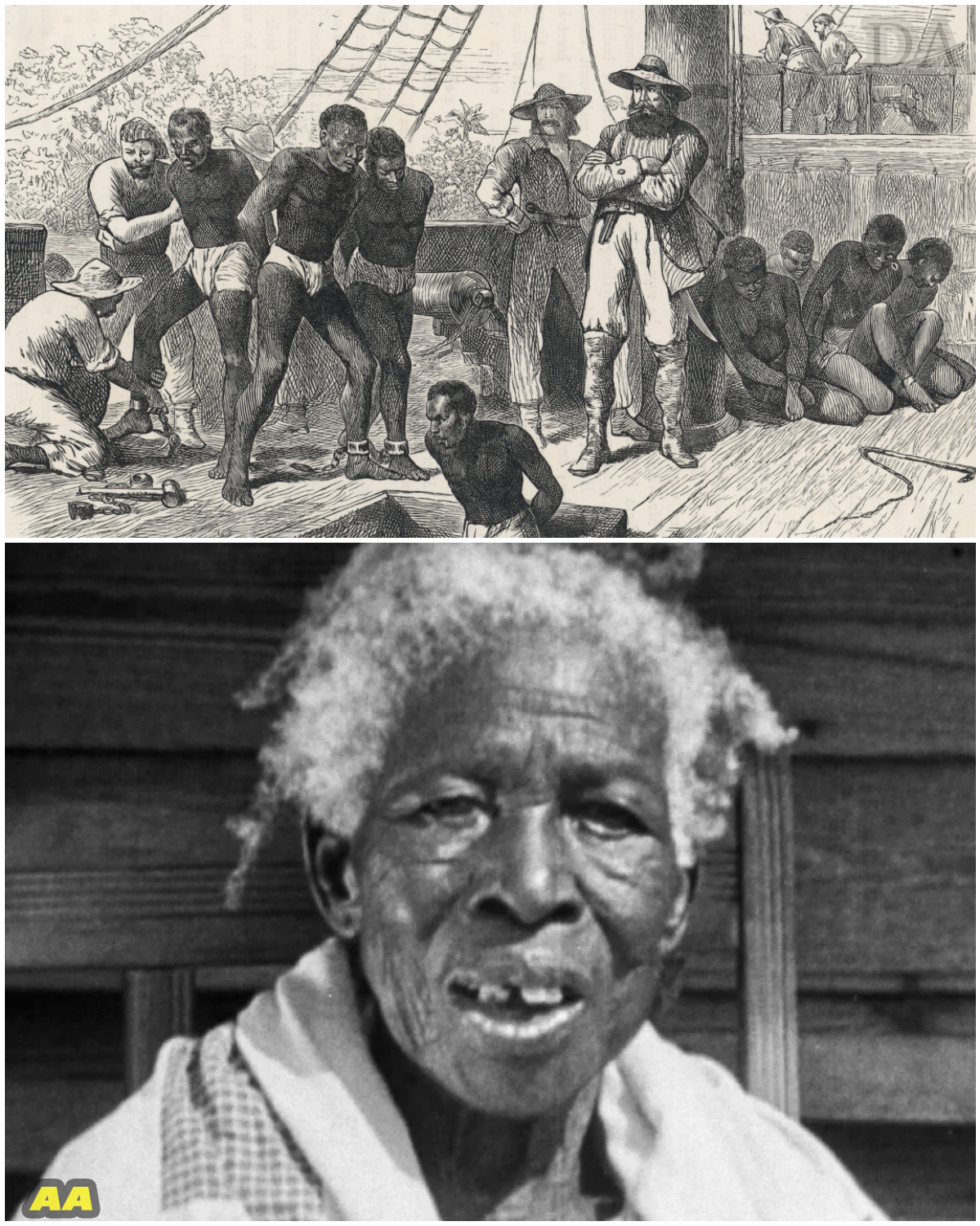 The Vanishing Horizon: The Shadow of the Iron Ship