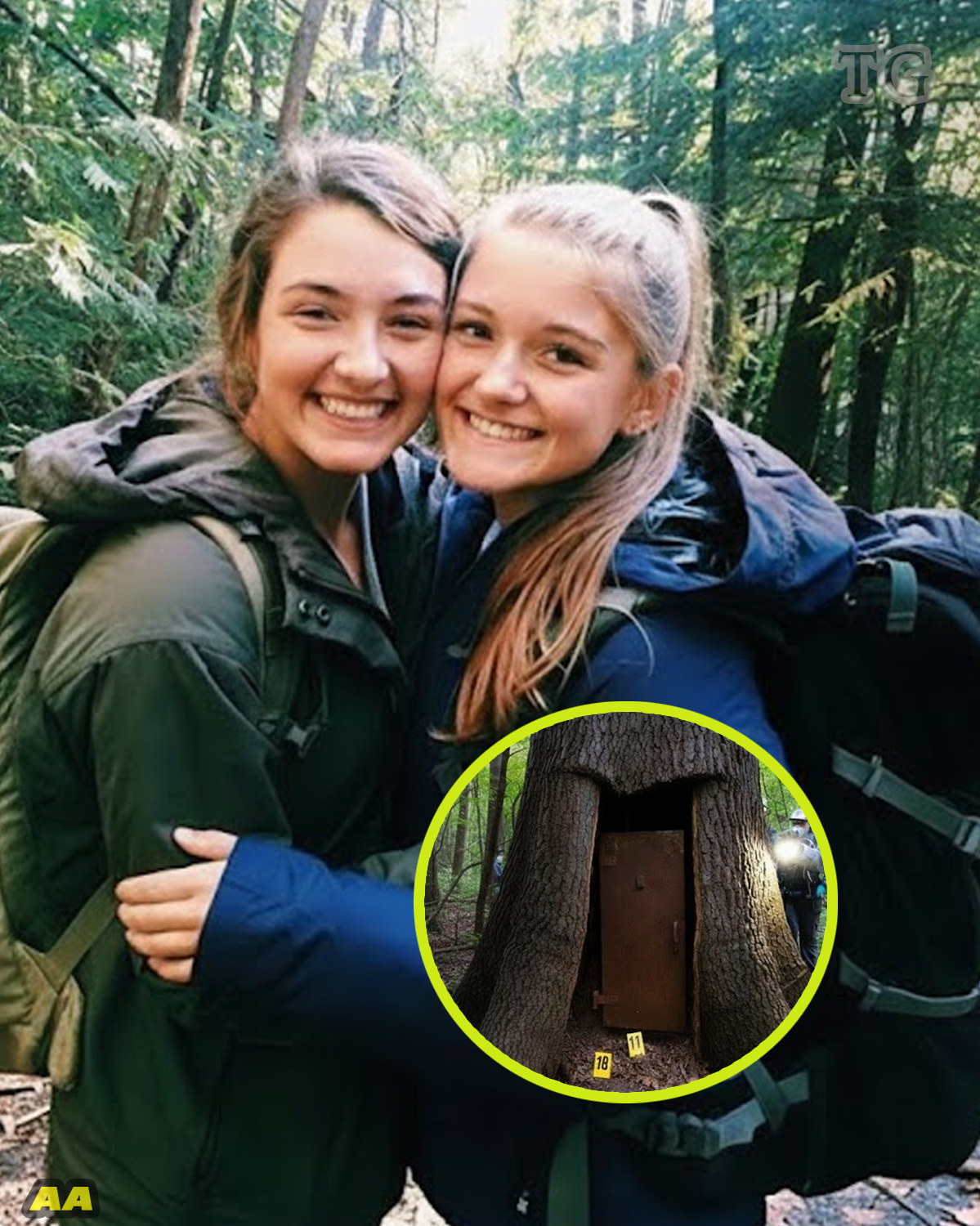 Hidden Cabin, Hidden Truths: The Lost Hours of Olympic National Forest