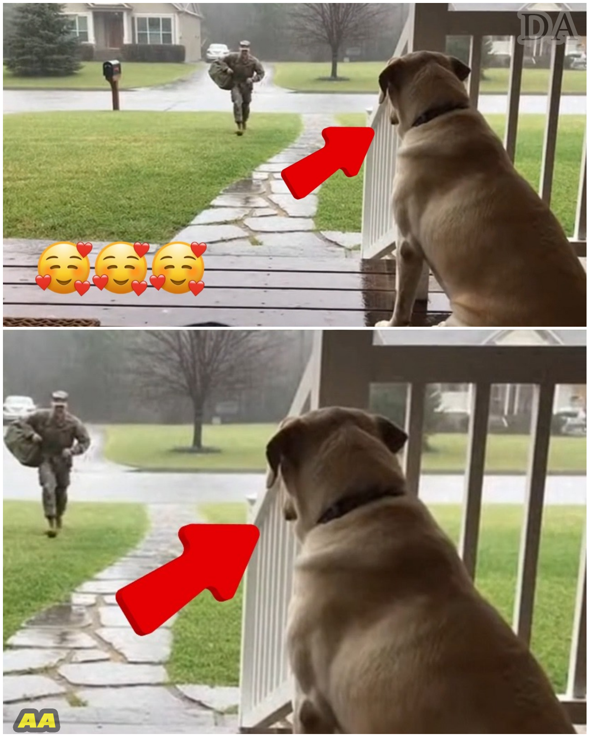 The Vigil of the Stone Path