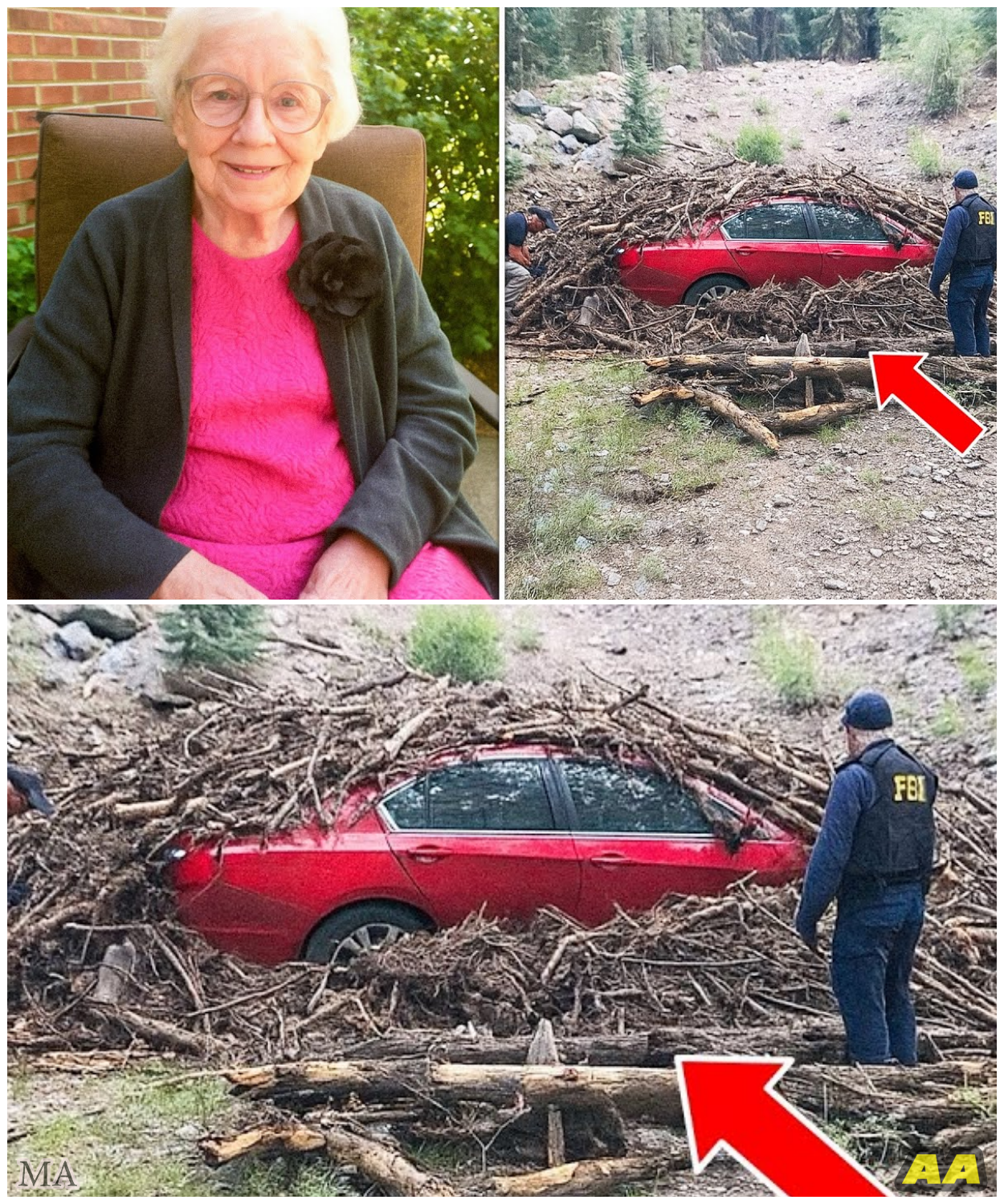 Retired Ohio Teacher Vanished From Home, 8 Months Later They Find Her Car in Nearby Forest…