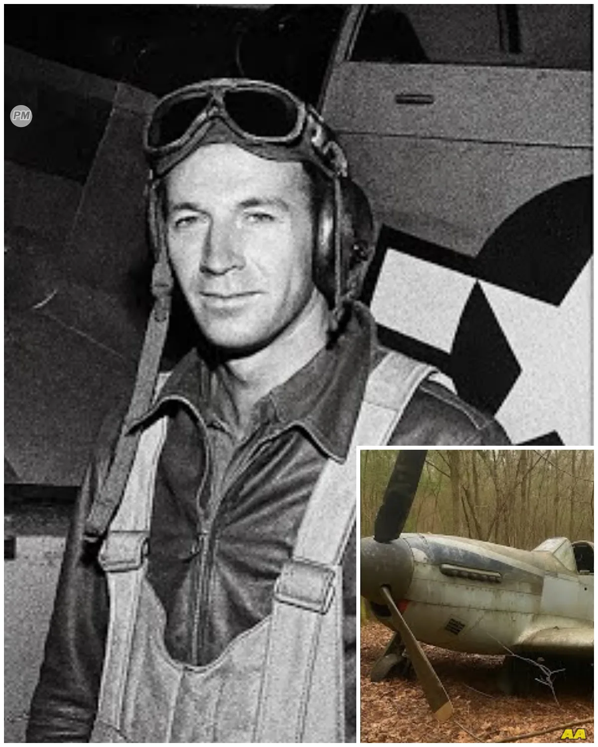 Fighter Pilot Vanished in 1943 — 60 Years Later, His Rusted Plane Was Found in a Forest…