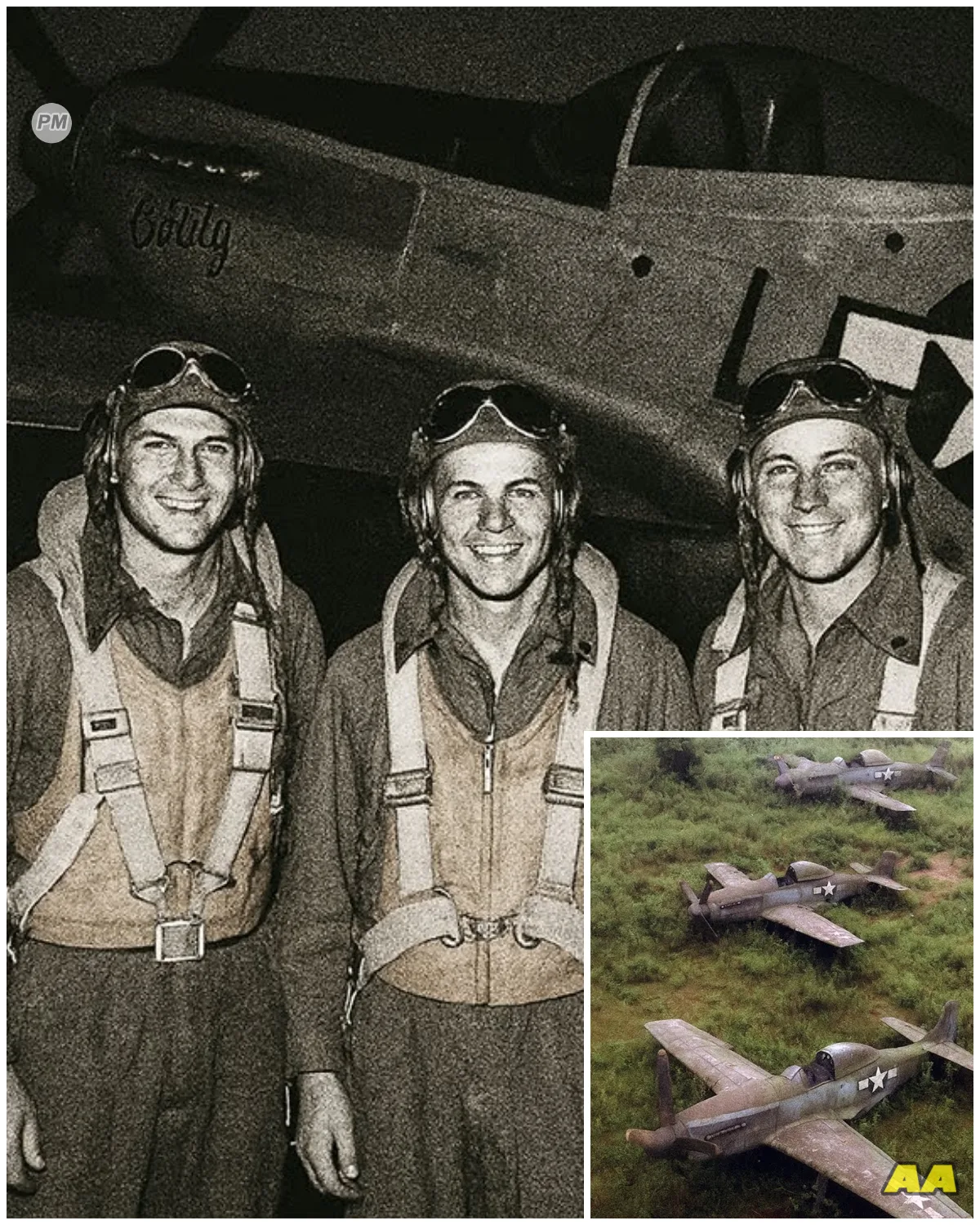 3 Fighter Pilots Vanished In 1944 — 75 Years Later, Their Planes Were Found Almost Intact…