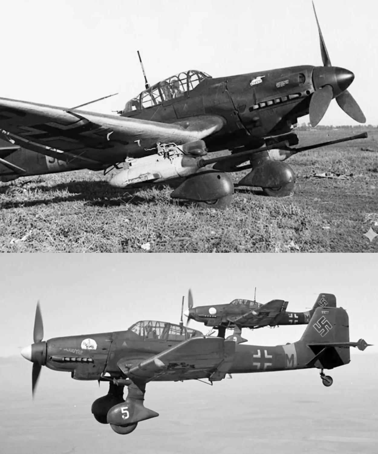 Why Luftwaffe Pilots Called the Ju 87 Stuka “Flying Furniture” But Begged to Fly It Anyway