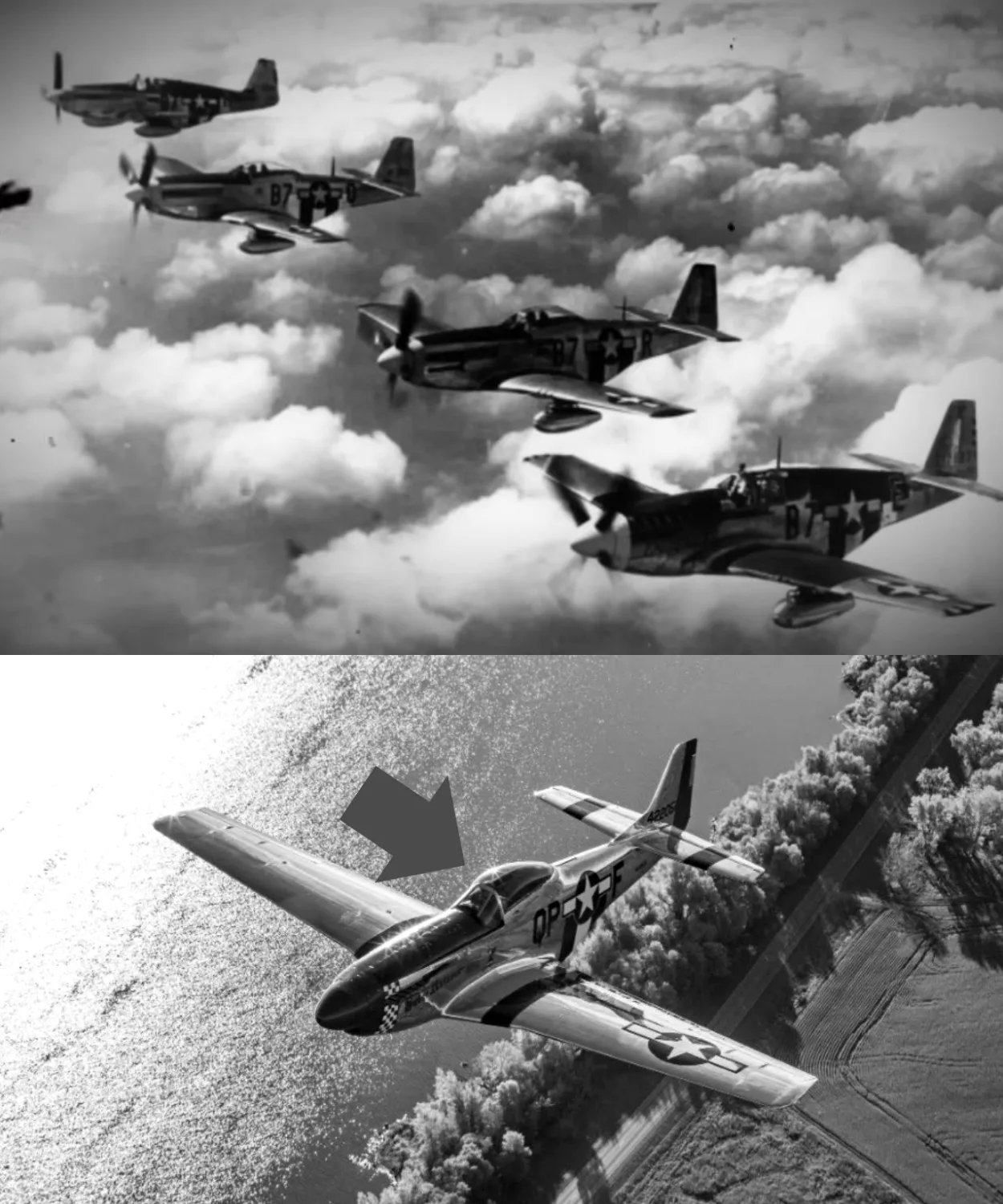 German Pilots Met the P 51 Mustang for the First Time — Then Realized They Couldn’t Win the Sky