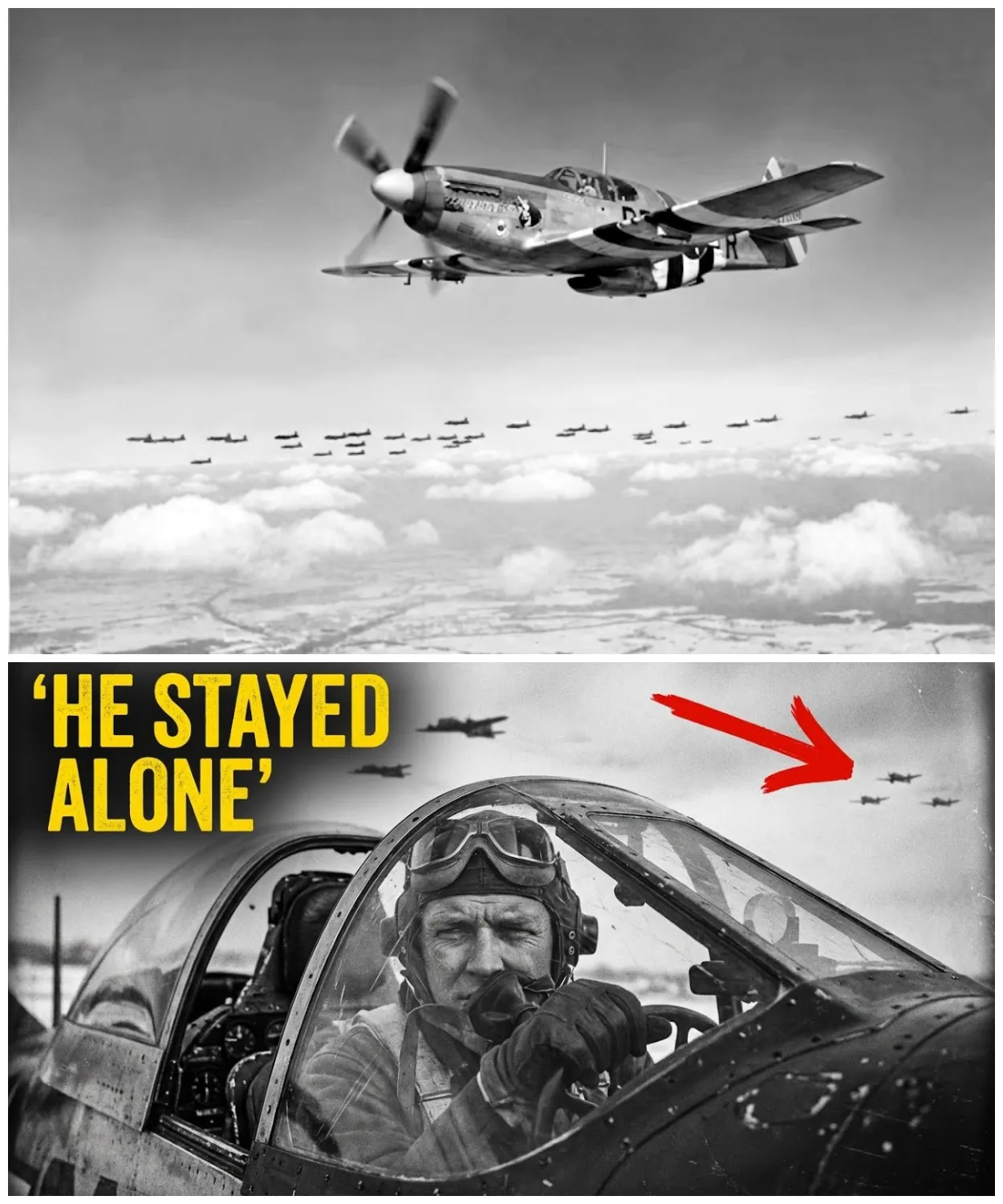 “He’s Still Between Us!” — German Radios Panicked as the Mustang Blocked Every Pass