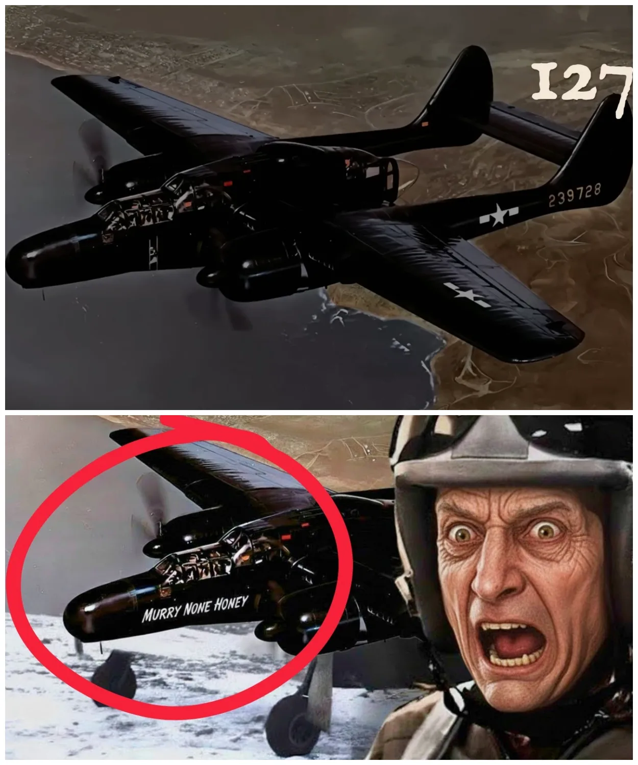 German Pilots Stunned When American P-61 Black Widow APPEARS