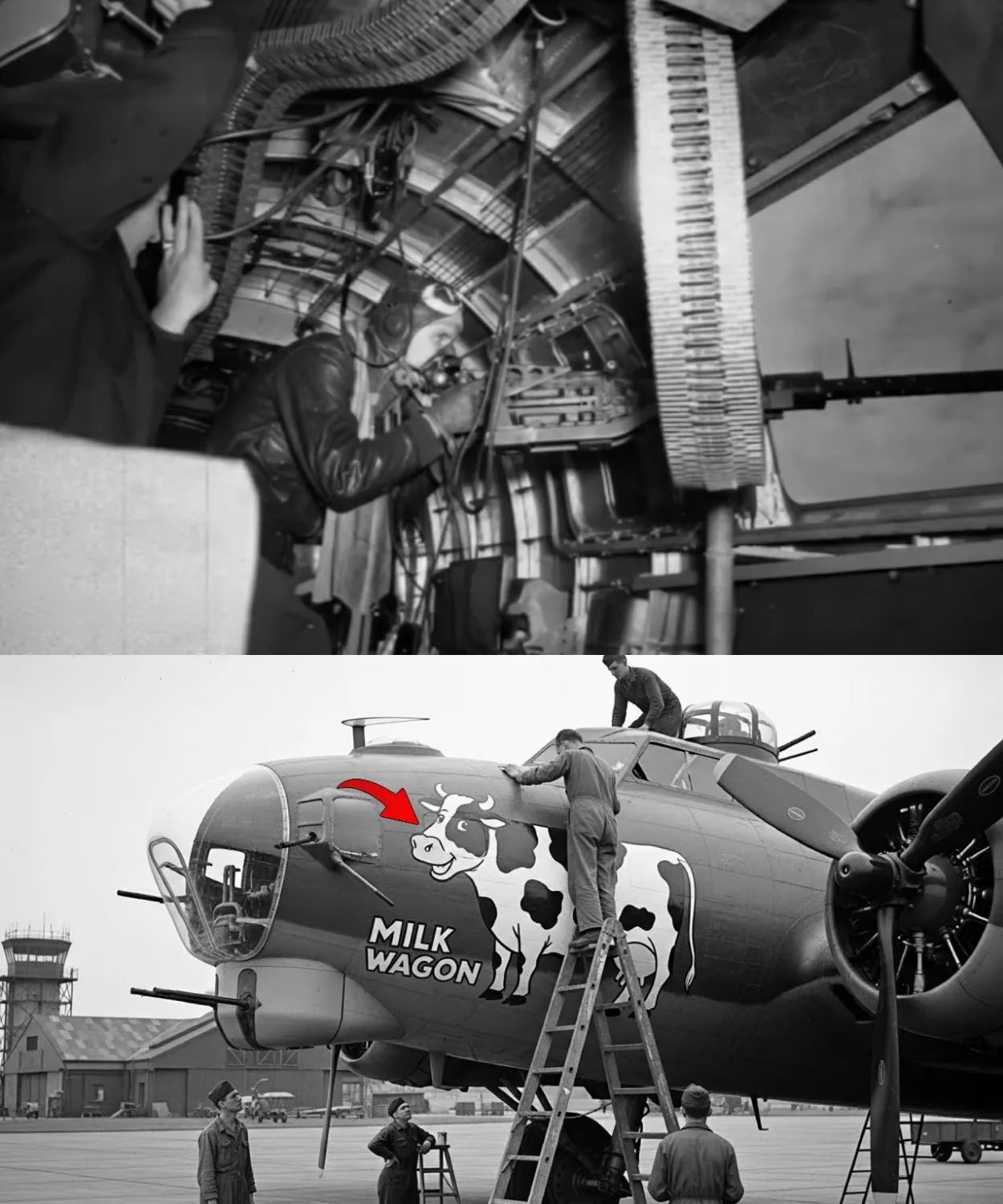 How One Mechanic’s “Stupid” Cow Paint Job Made His B-17 Unkillable