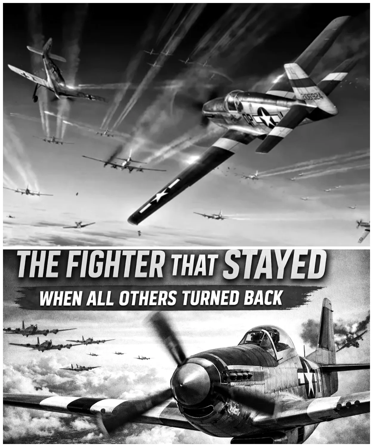 How One Fighter Aircraft Changed the Air War Forever