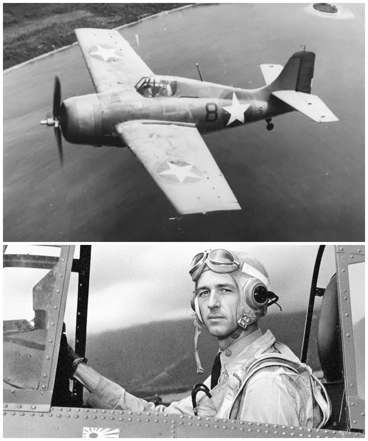 They Ordered Him to Just Take Photos — He Destroyed 40 Enemy Planes Instead