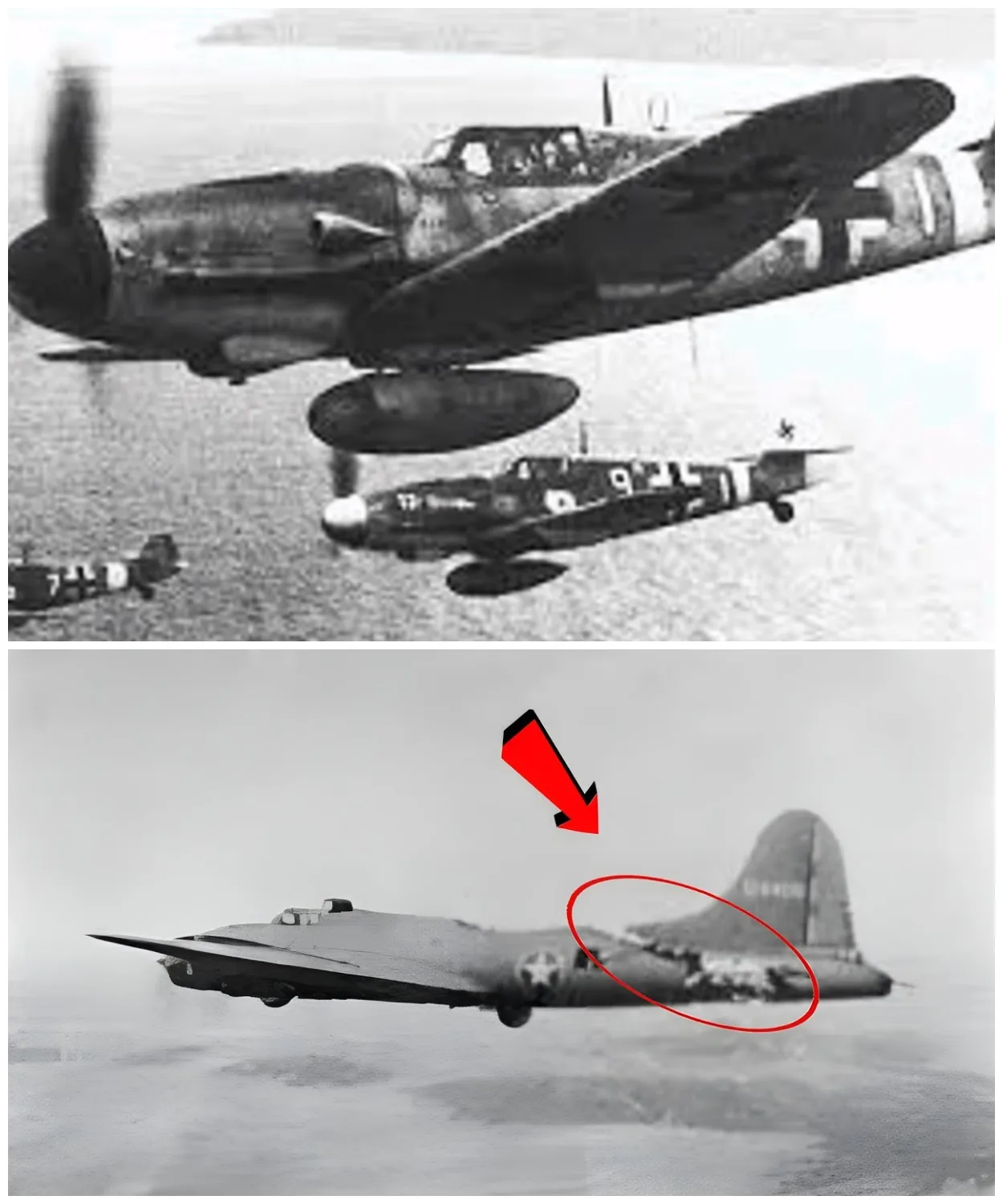 The B-17 Pilot Who Flew Home With No Tail — Half the Plane Was Gone