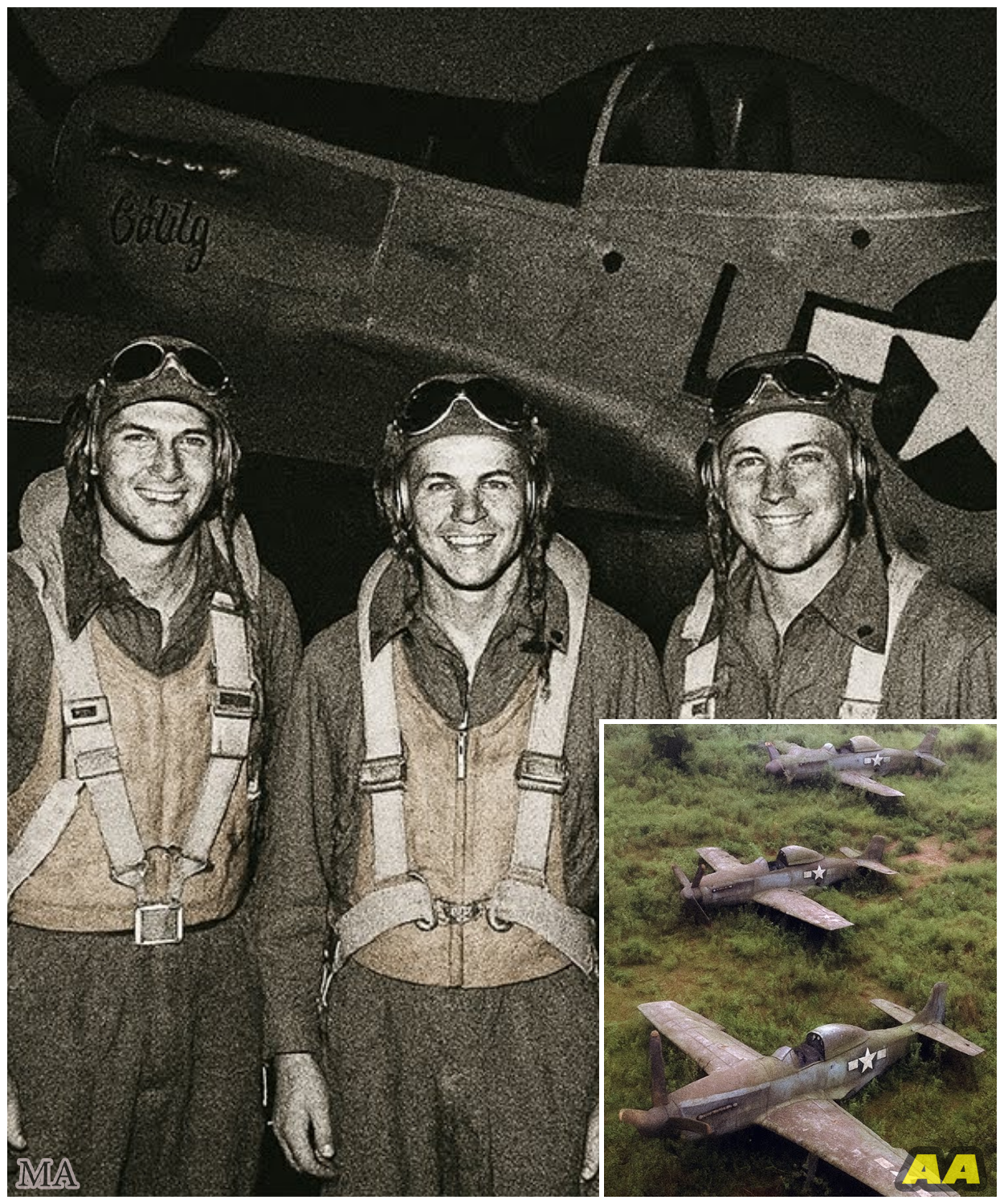 “3 Fighter Pilots Vanished In 1944 — 75 Years Later, Their Planes Were Found Almost Intact…”