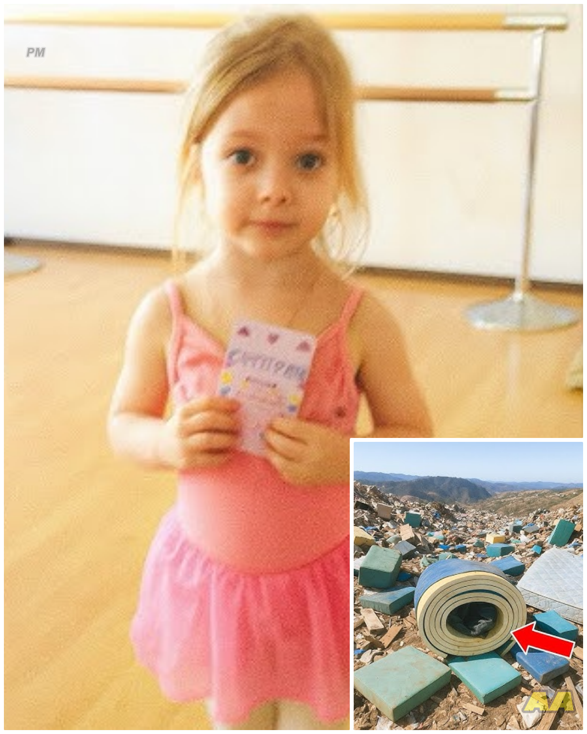 Girl Vanished at Ballet Competition, 8 Months Later This Is Found at a Landfill…