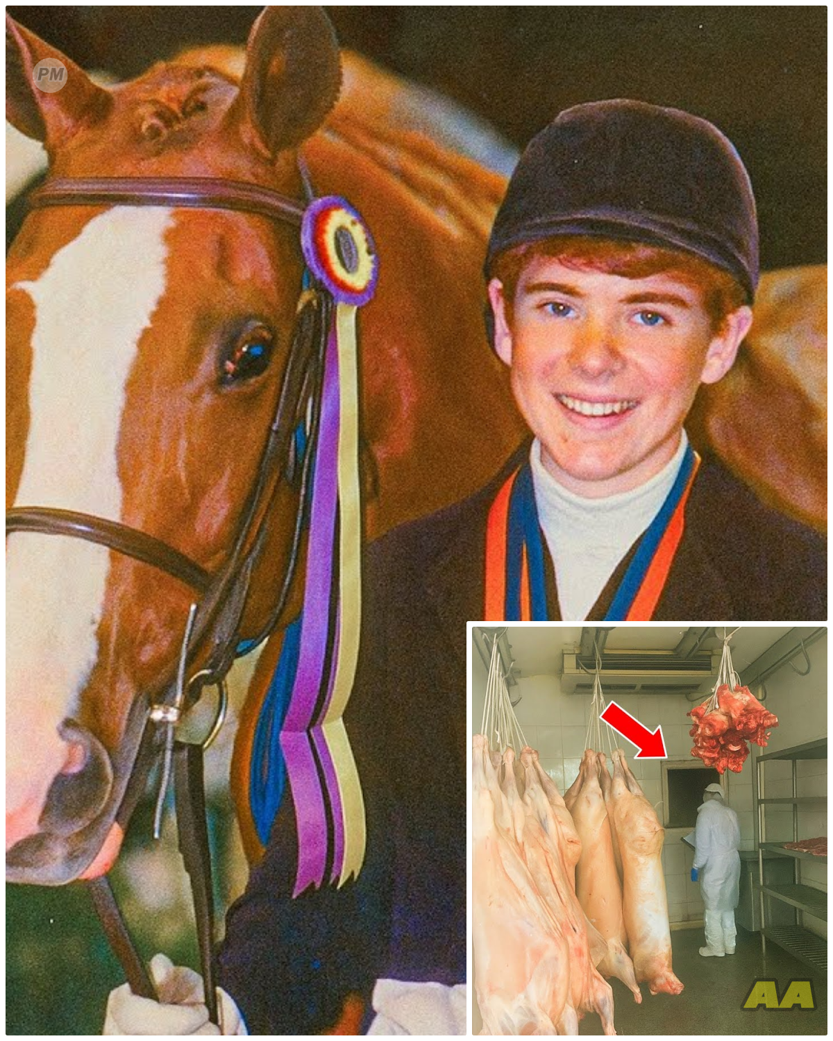 Jockey Vanished in 2001, 3 Years Later Health Inspectors Find a Hatch in a Slaughterhouse…