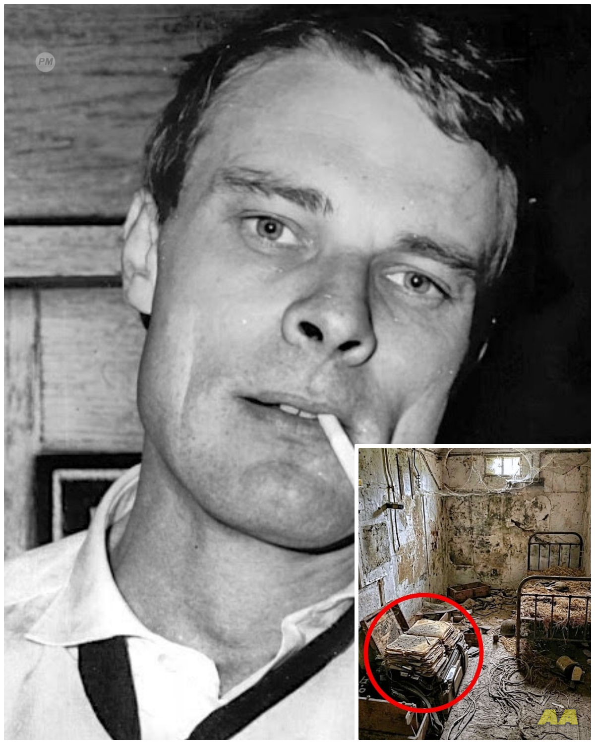 German Spy Vanished Post-War — 74 Years Later, His Secret Files Were Found Hidden In Austria