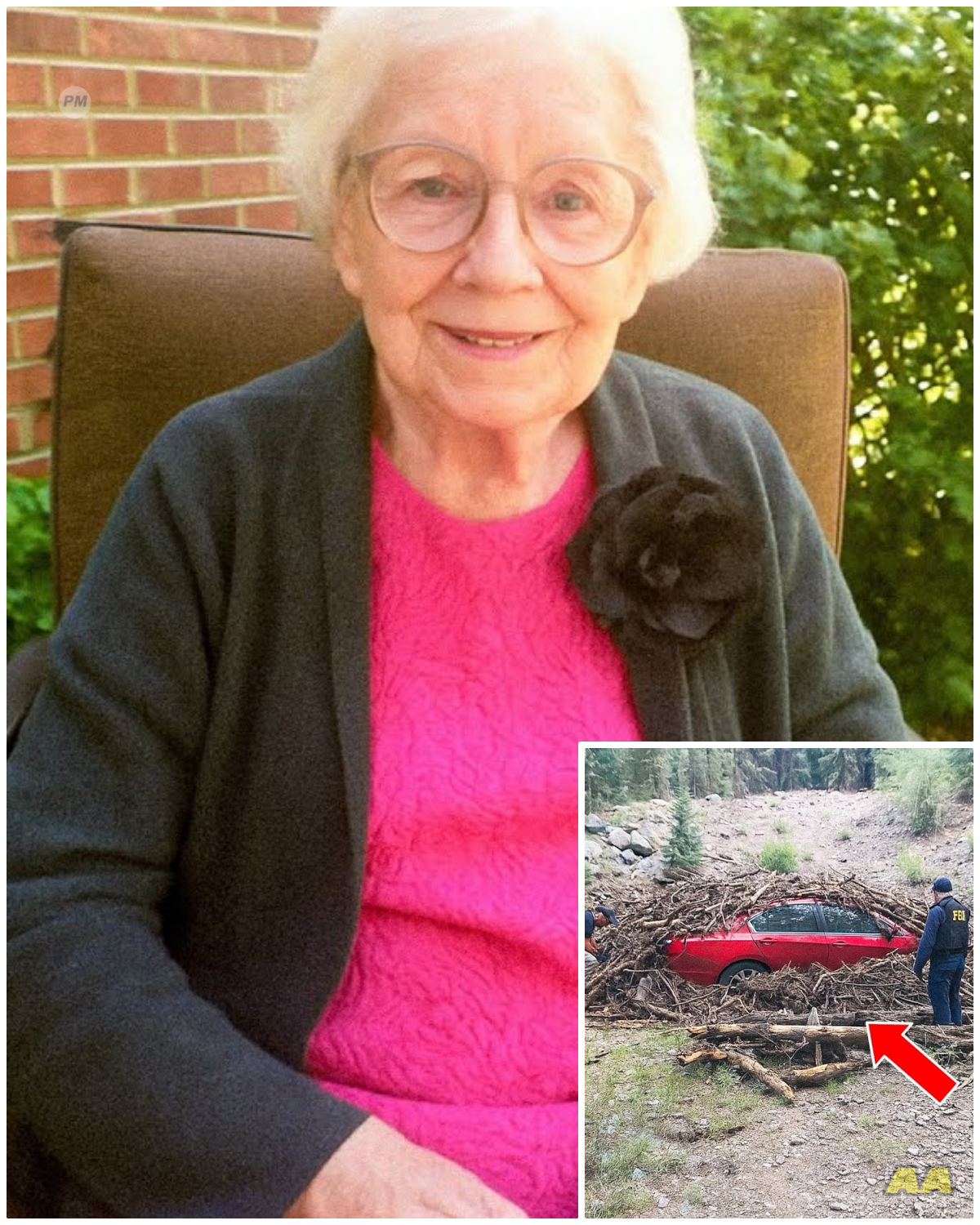 Retired Ohio Teacher Vanished From Home, 8 Months Later They Find Her Car in Nearby Forest…