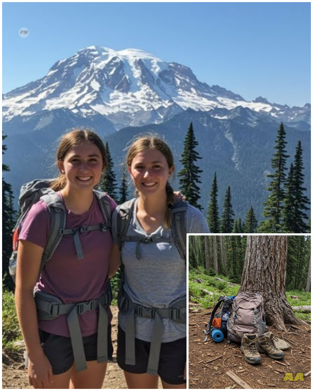 Twins Girls vanished form mount Rainier, 5 years later Ranger this beside a tree