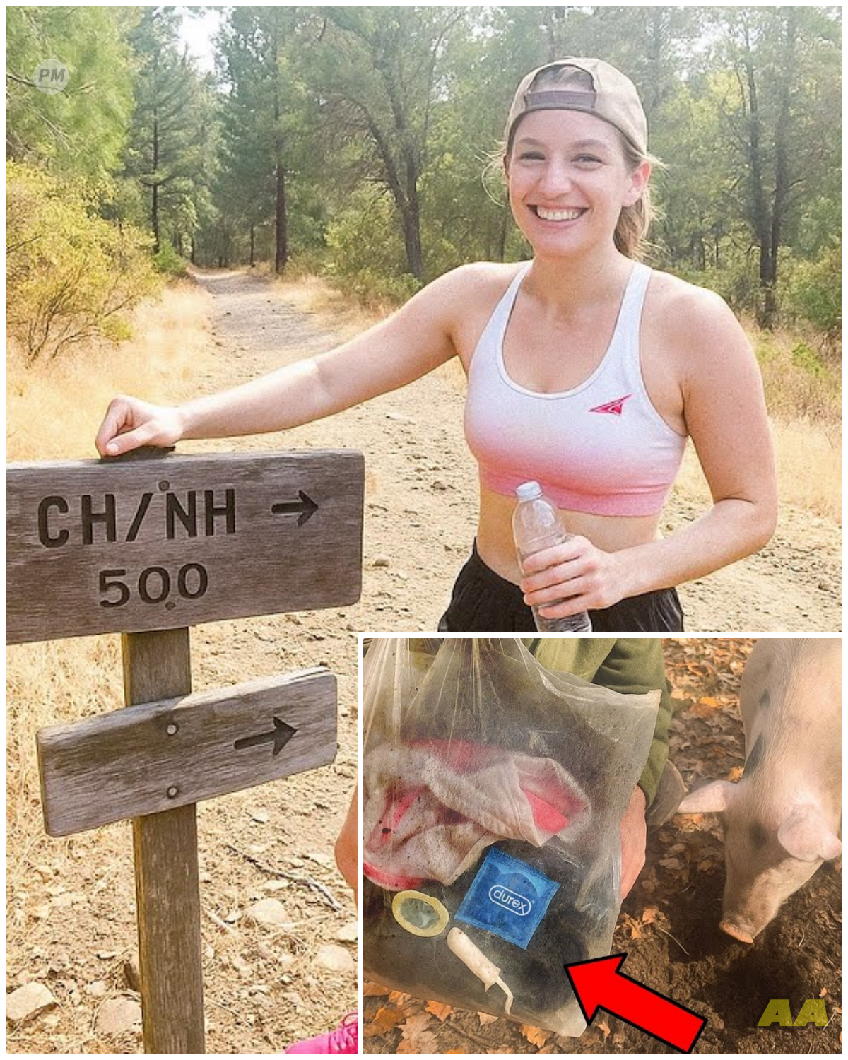 Woman Vanished on Morning Jog in Napa, 2 Years Later Truffle Hunter’s Pig Unearths This.