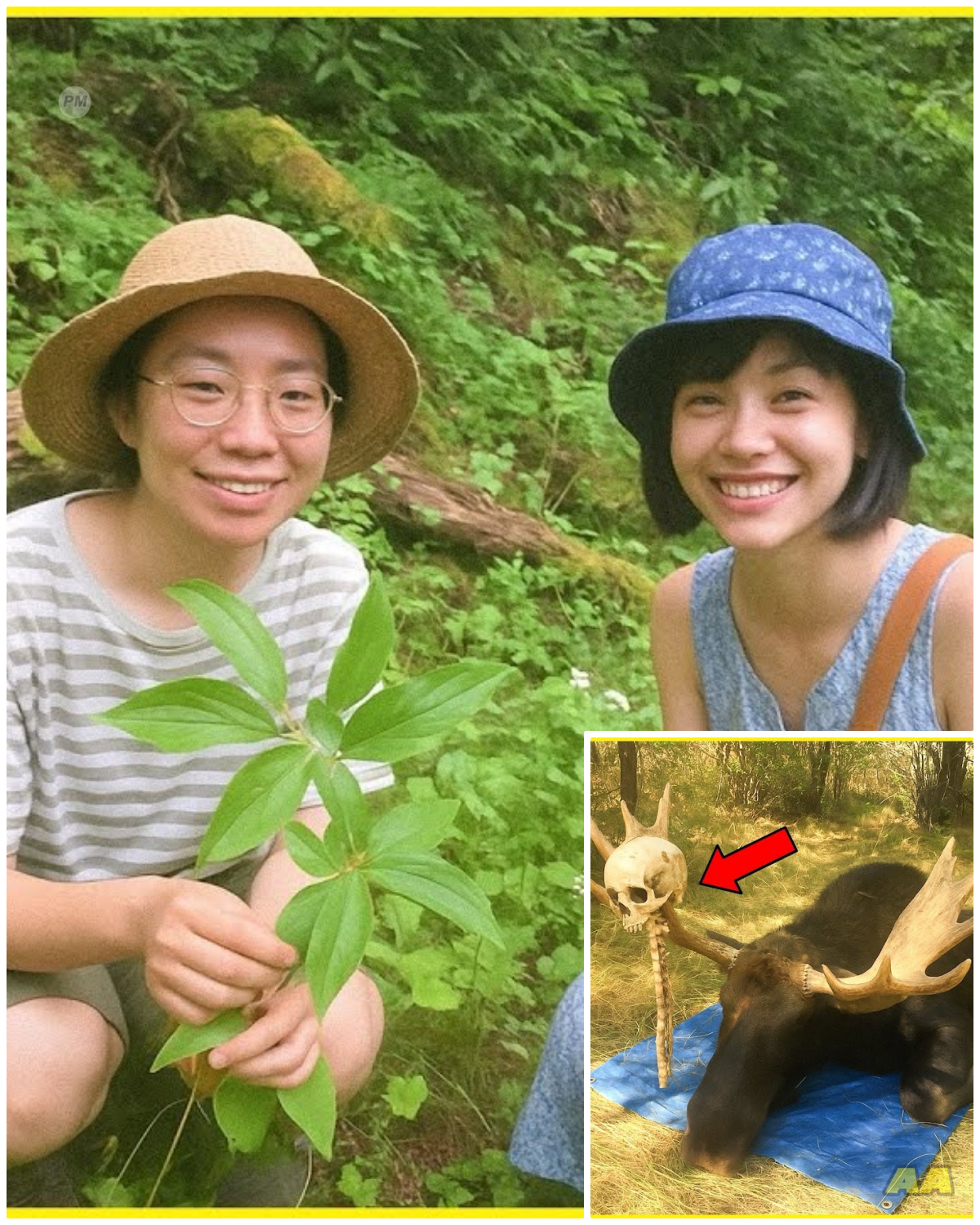 Female Botanists Vanished in Alaska, 9 Years Later This Is Found Stuck to a Moose’s Antlers…