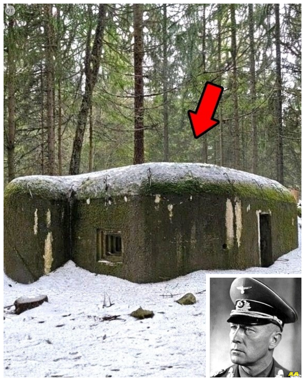German General Vanished in 1944 — 81 Years Later His Hidden Forest Base Was Discovered by Accident