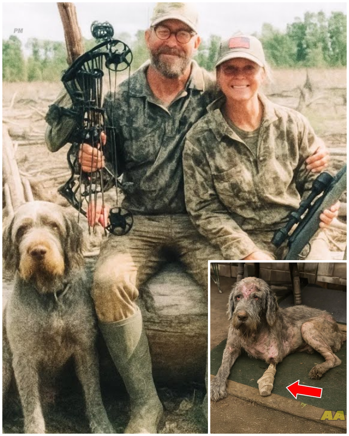 Couple Went Hunting and Vanished — 2 Years Later Their Dog Returns…