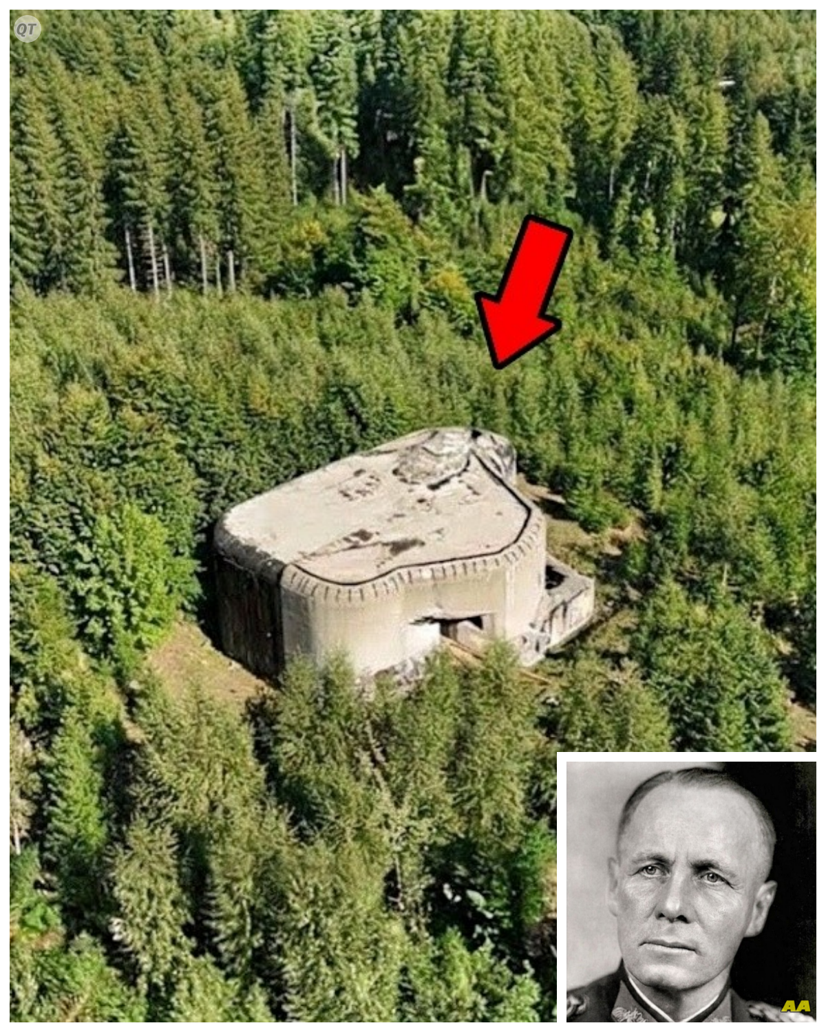 German General Vanished in 1944 — 81 Years Later His Hidden Forest Laboratory Discovered by Accident